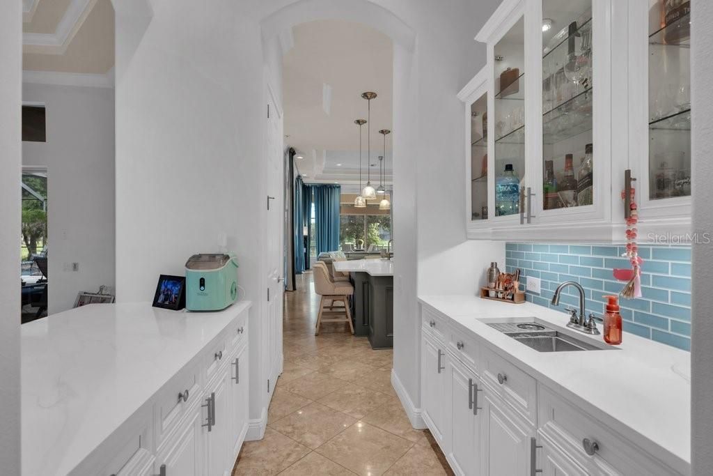 6217 Kingbird Manor Drive, Lithia, FL 33547 Photo