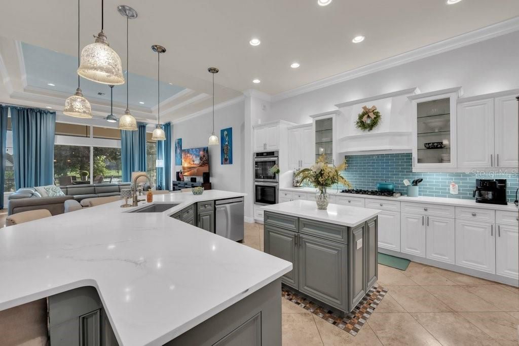 6217 Kingbird Manor Drive, Lithia, FL 33547 Photo