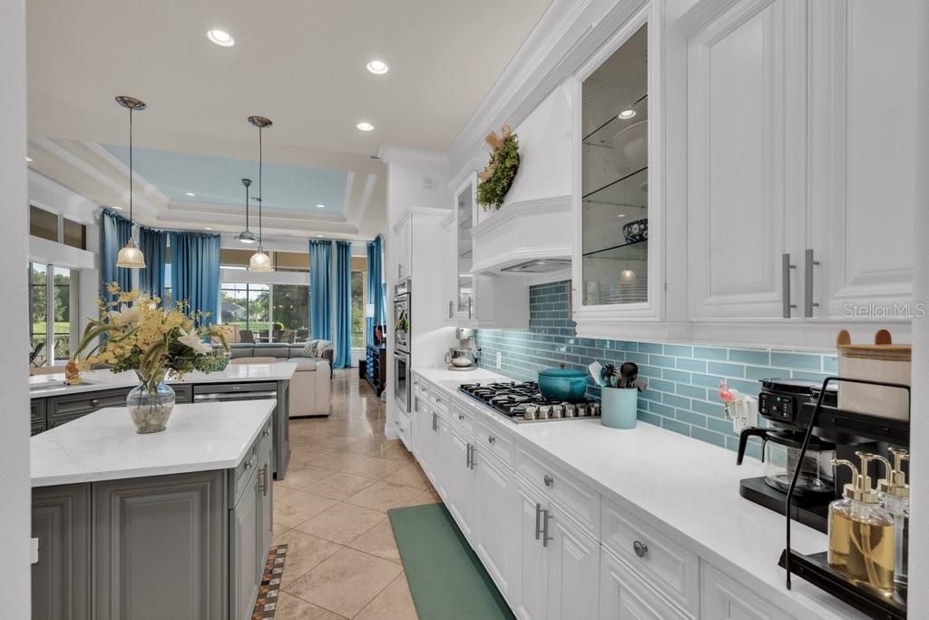 6217 Kingbird Manor Drive, Lithia, FL 33547 Photo