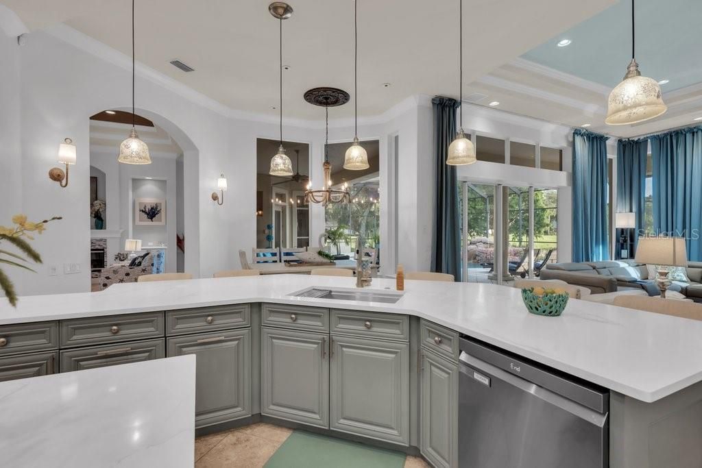 6217 Kingbird Manor Drive, Lithia, FL 33547 Photo