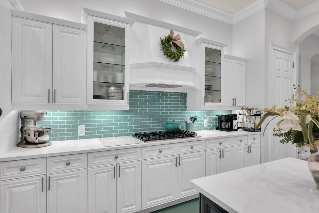 6217 Kingbird Manor Drive, Lithia, FL 33547 Photo