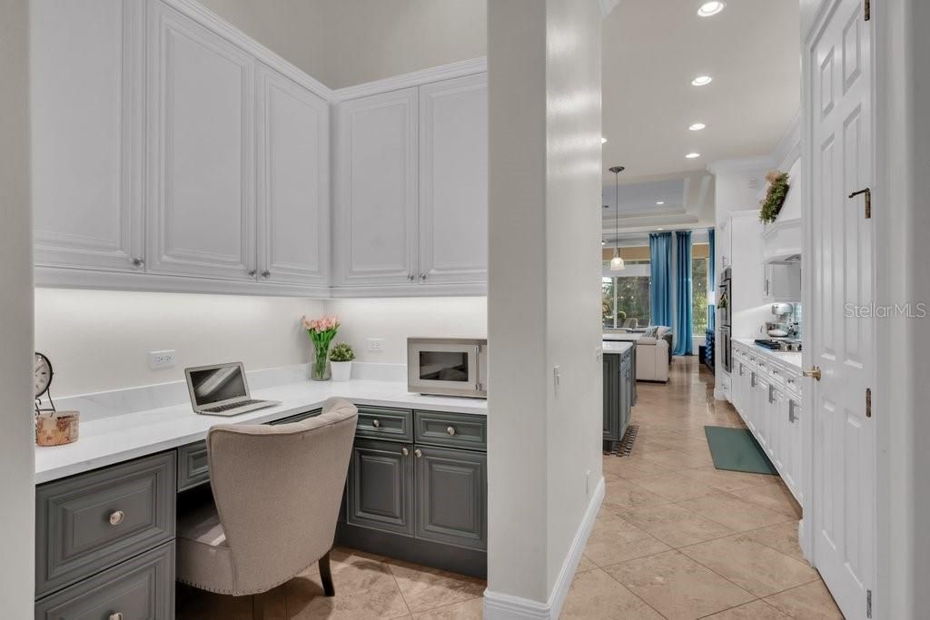6217 Kingbird Manor Drive, Lithia, FL 33547 Photo