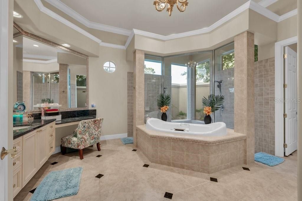 6217 Kingbird Manor Drive, Lithia, FL 33547 Photo