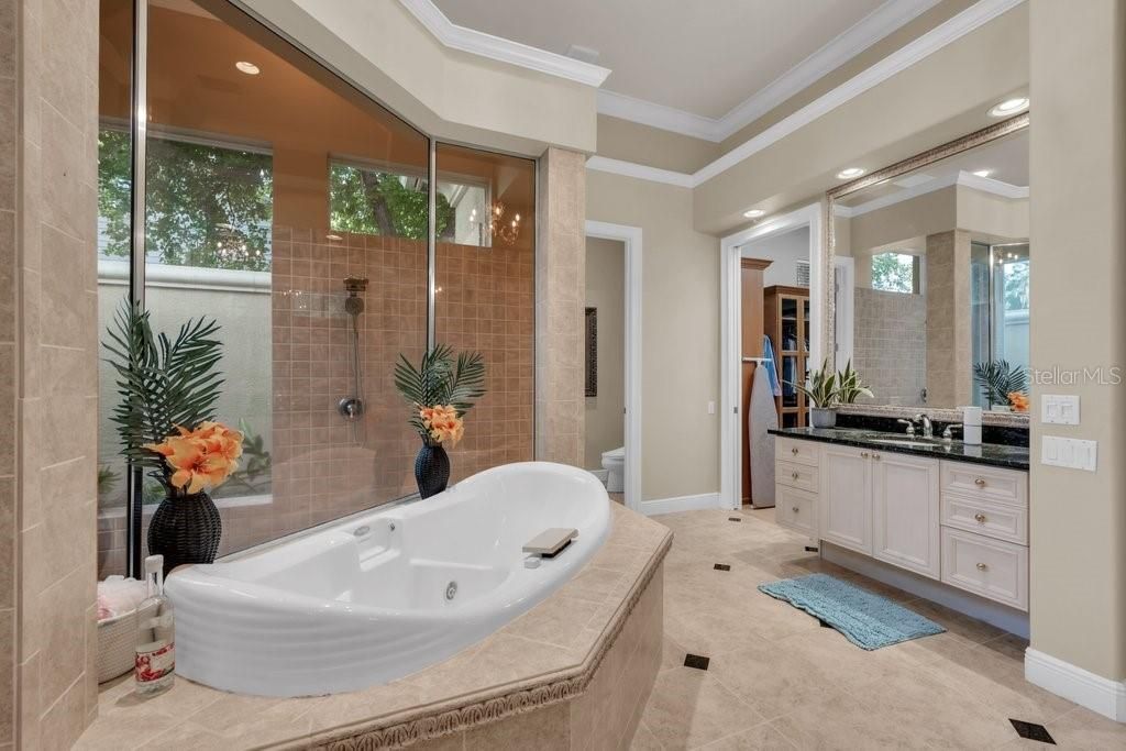 6217 Kingbird Manor Drive, Lithia, FL 33547 Photo