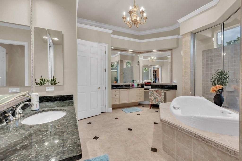 6217 Kingbird Manor Drive, Lithia, FL 33547 Photo