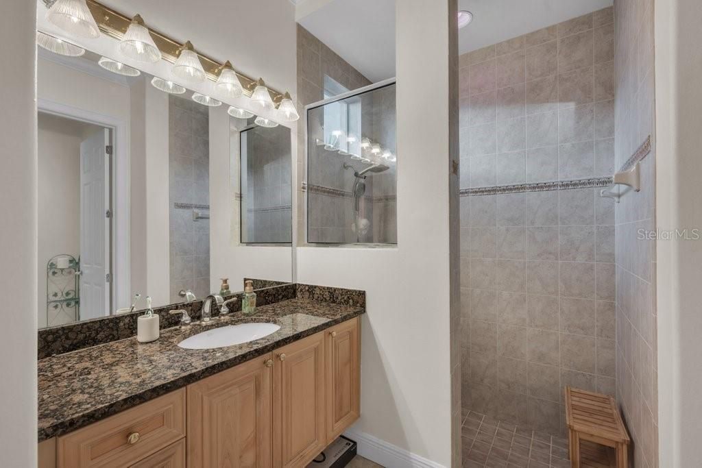 6217 Kingbird Manor Drive, Lithia, FL 33547 Photo