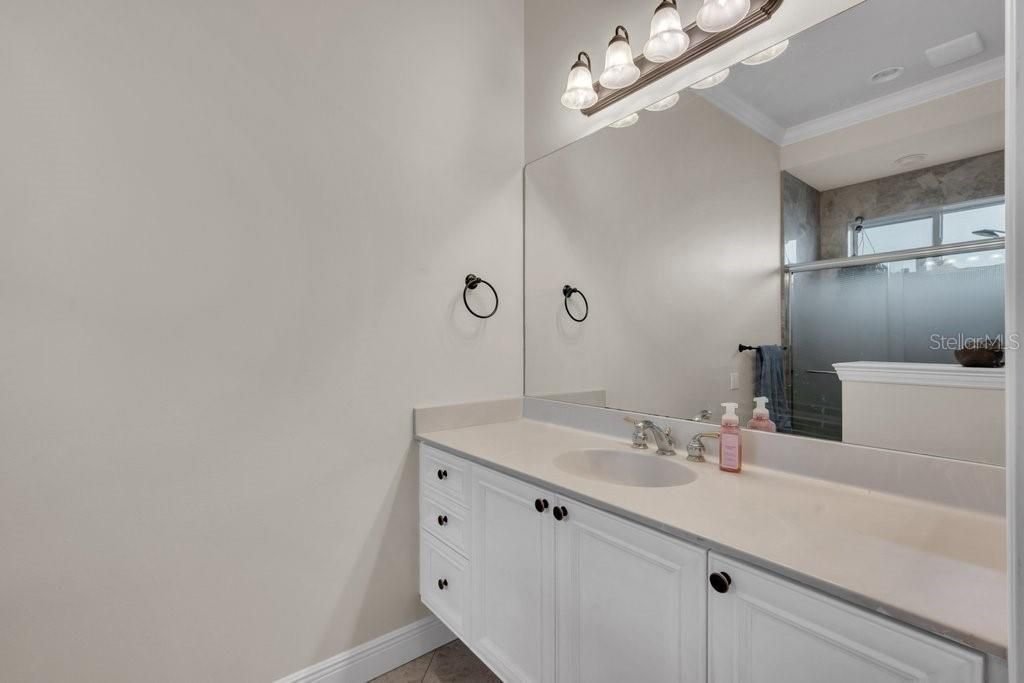 6217 Kingbird Manor Drive, Lithia, FL 33547 Photo