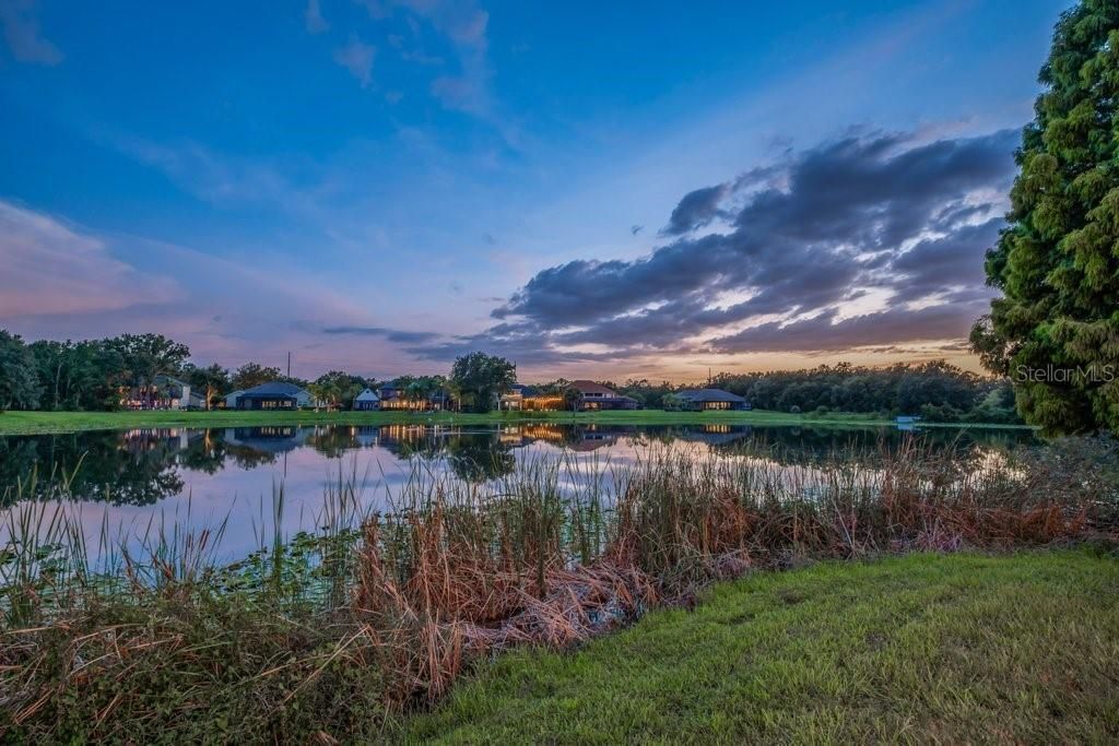 6217 Kingbird Manor Drive, Lithia, FL 33547 Photo