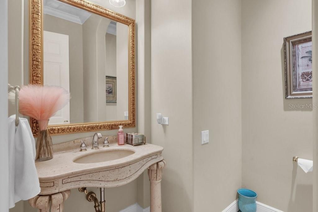 6217 Kingbird Manor Drive, Lithia, FL 33547 Photo