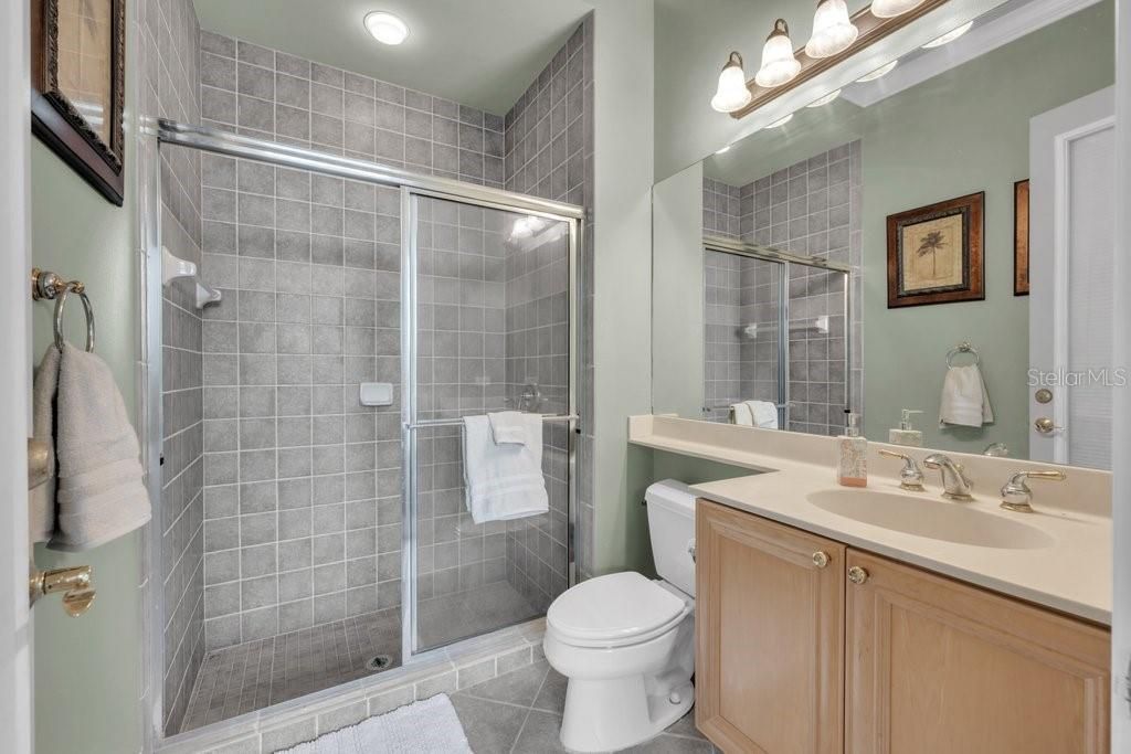 6217 Kingbird Manor Drive, Lithia, FL 33547 Photo