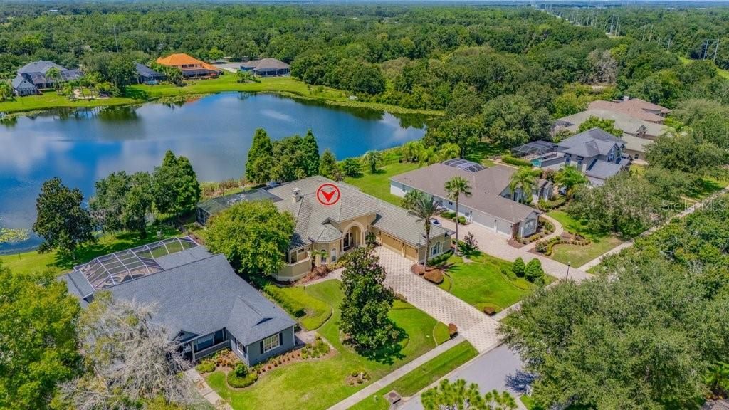 6217 Kingbird Manor Drive, Lithia, FL 33547 Photo