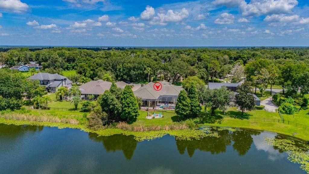 6217 Kingbird Manor Drive, Lithia, FL 33547 Photo