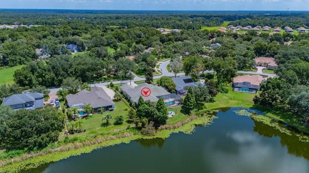 6217 Kingbird Manor Drive, Lithia, FL 33547 Photo