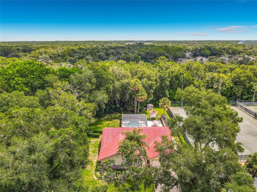 Property Image 61