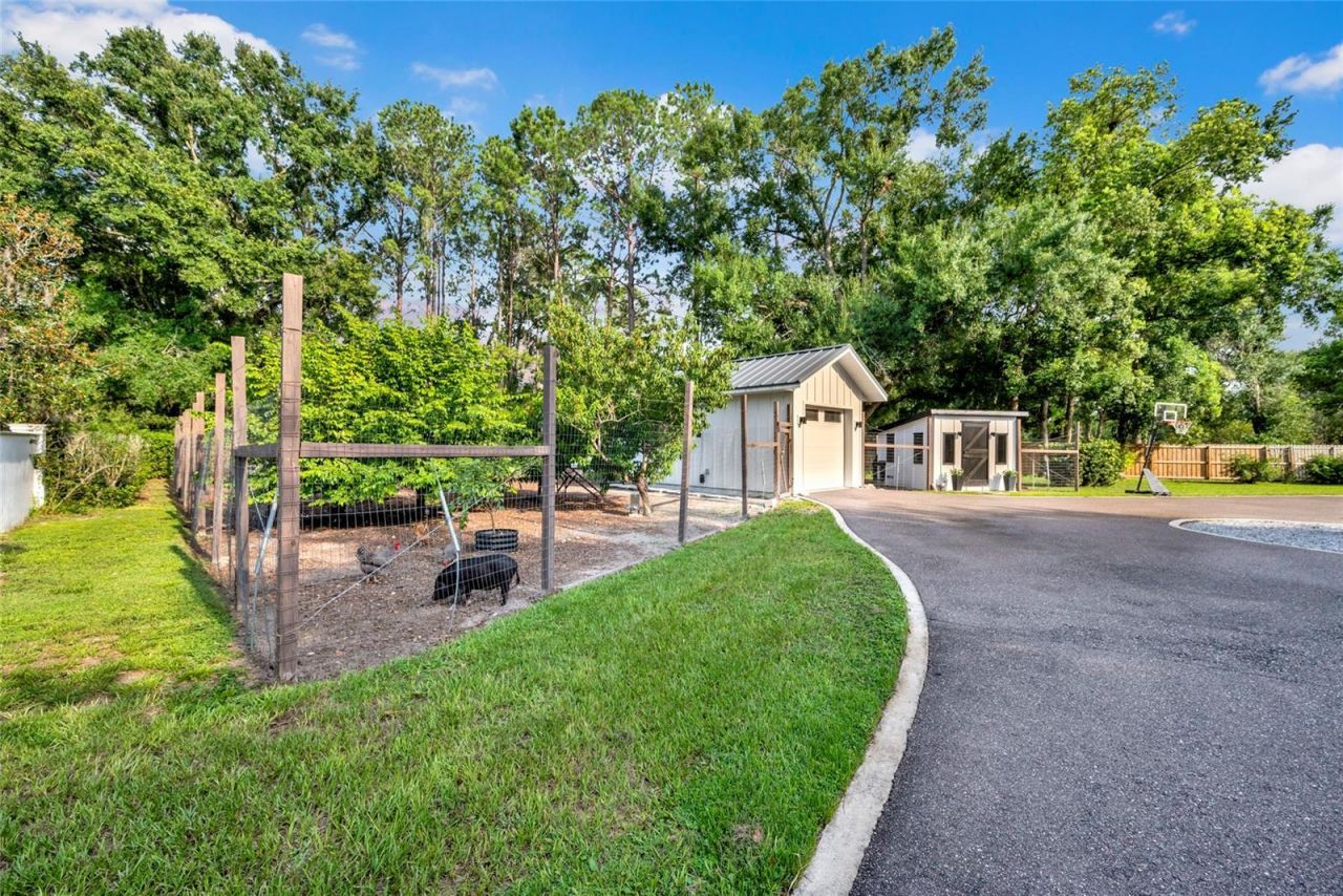 3440 Crenshaw Lake Road, Lutz, FL 33548 Photo