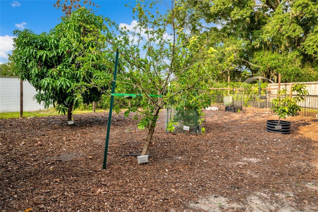 3440 Crenshaw Lake Road, Lutz, FL 33548 Photo