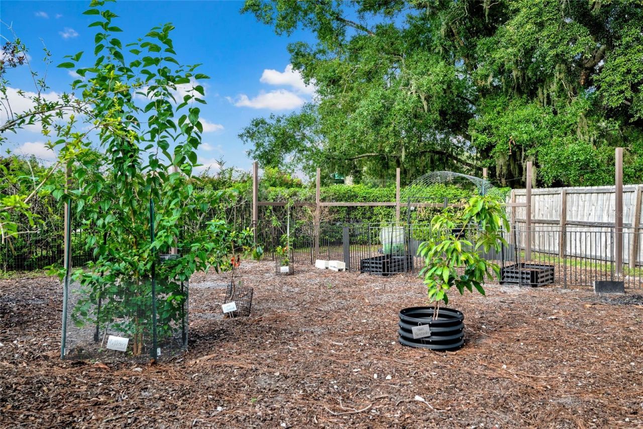 3440 Crenshaw Lake Road, Lutz, FL 33548 Photo
