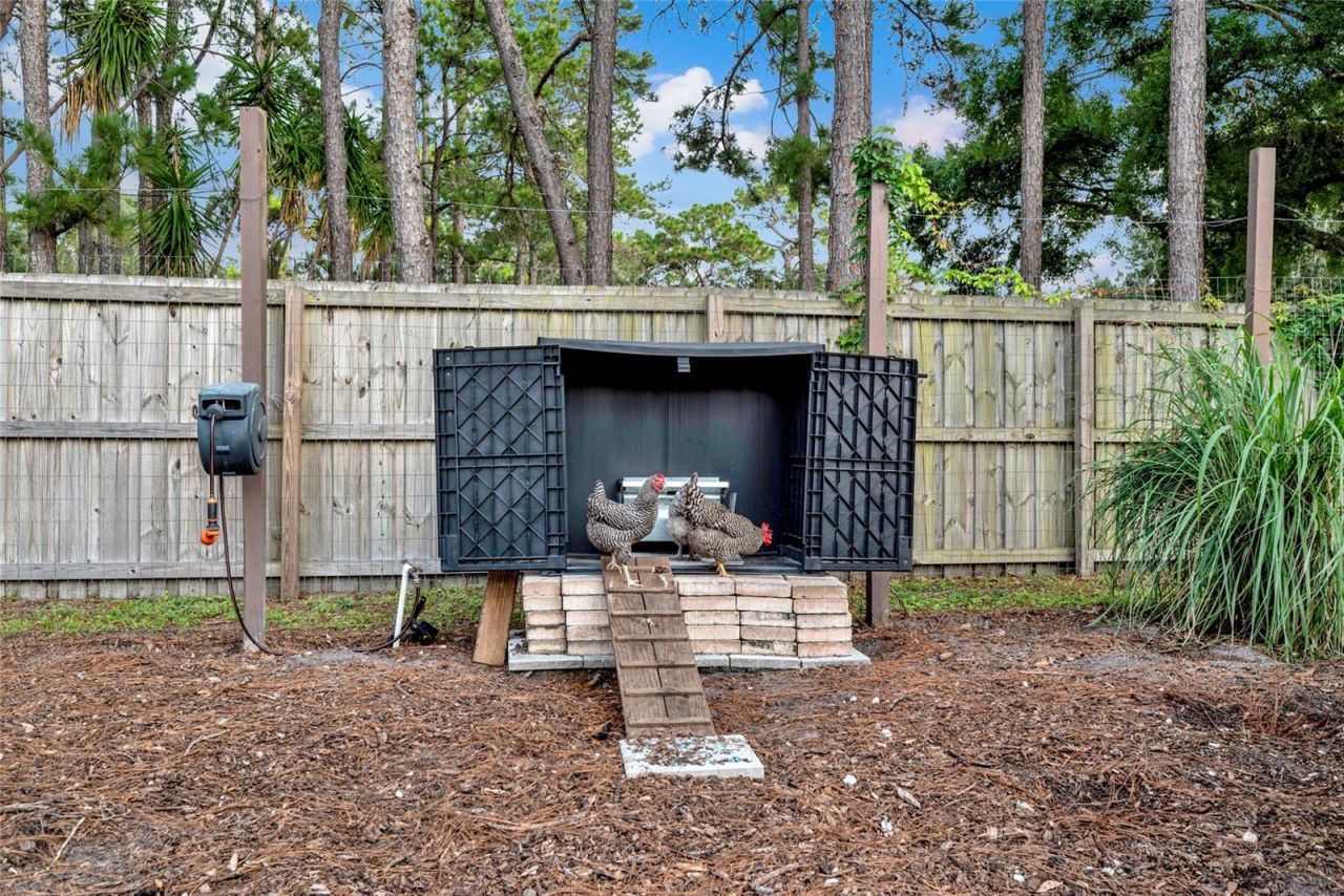 3440 Crenshaw Lake Road, Lutz, FL 33548 Photo