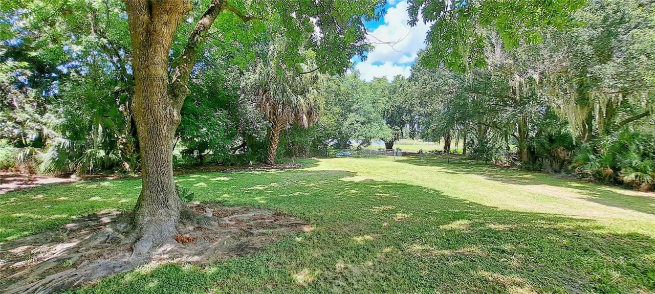 3017 Bay Lake Road, Orlando, FL 32808 Photo