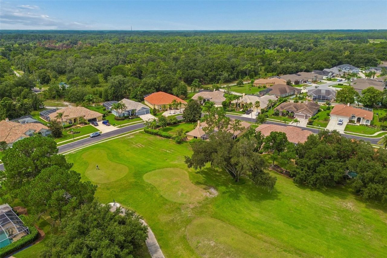 1021 Hagen Drive, New Port Richey, FL 34655 Photo