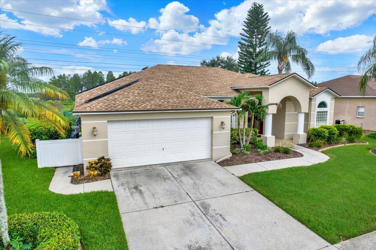 2318 Edelweiss Loop, Trinity, FL 34655 Photo