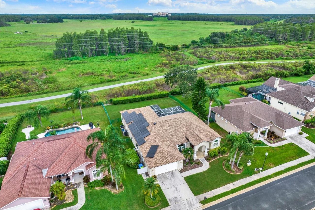 2318 Edelweiss Loop, Trinity, FL 34655 Photo