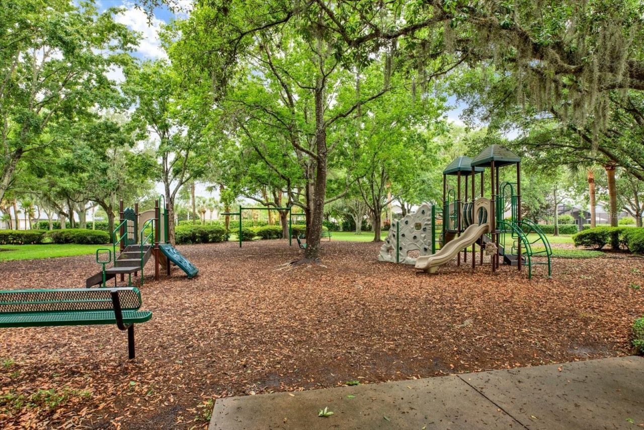 2318 Edelweiss Loop, Trinity, FL 34655 Photo