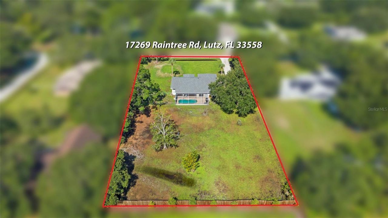 17269 Raintree Road , Lutz, FL 33558 Photo
