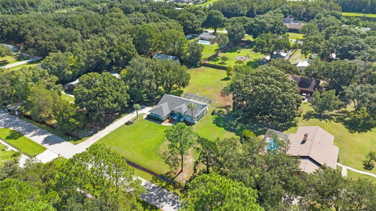 17269 Raintree Road , Lutz, FL 33558 Photo
