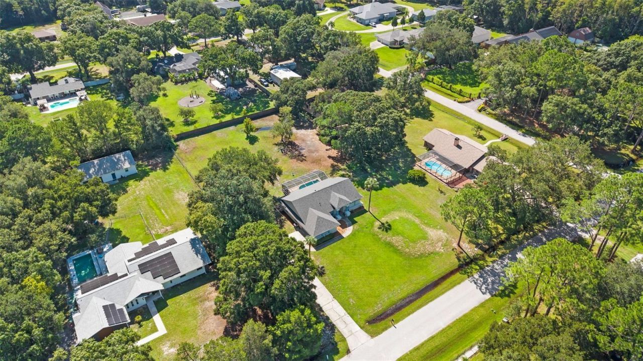 17269 Raintree Road , Lutz, FL 33558 Photo