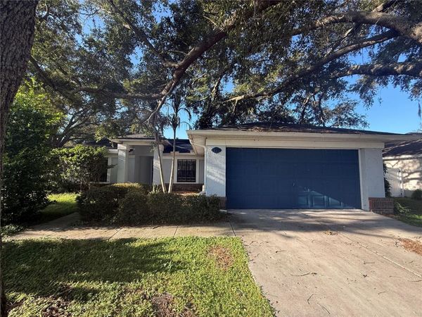 13311 HOLLOWBEND LANE , RIVERVIEW, FL 33569