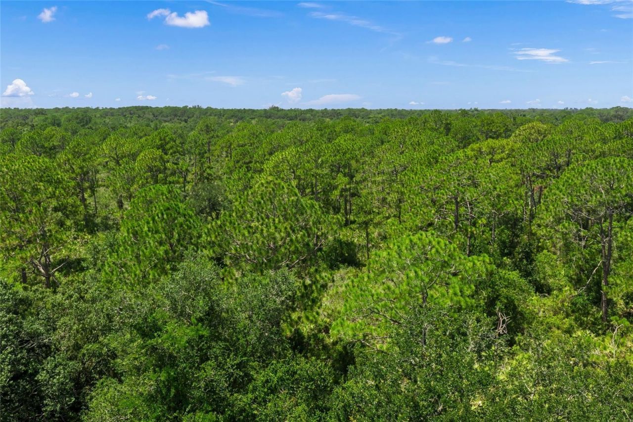 8488 Eagle Preserve Way, Sarasota, FL 34241 Photo