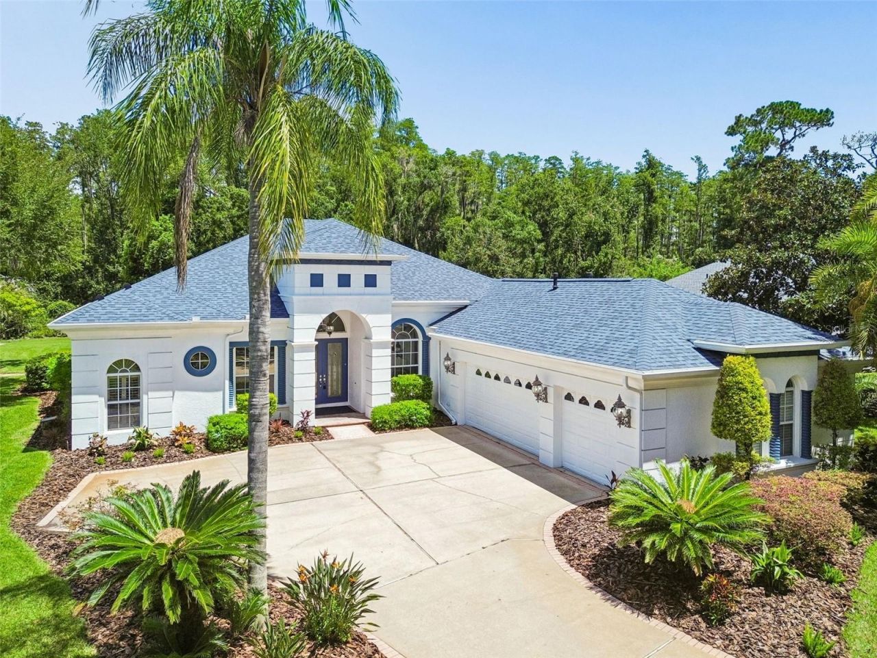 21105 Lake Vienna Drive, Land O Lakes, FL 34638 Photo