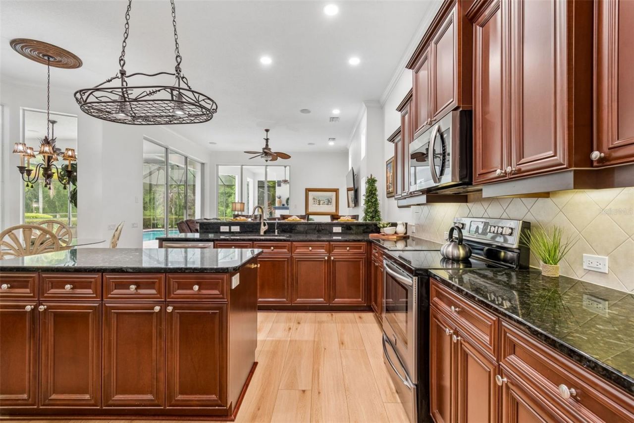 21105 Lake Vienna Drive, Land O Lakes, FL 34638 Photo