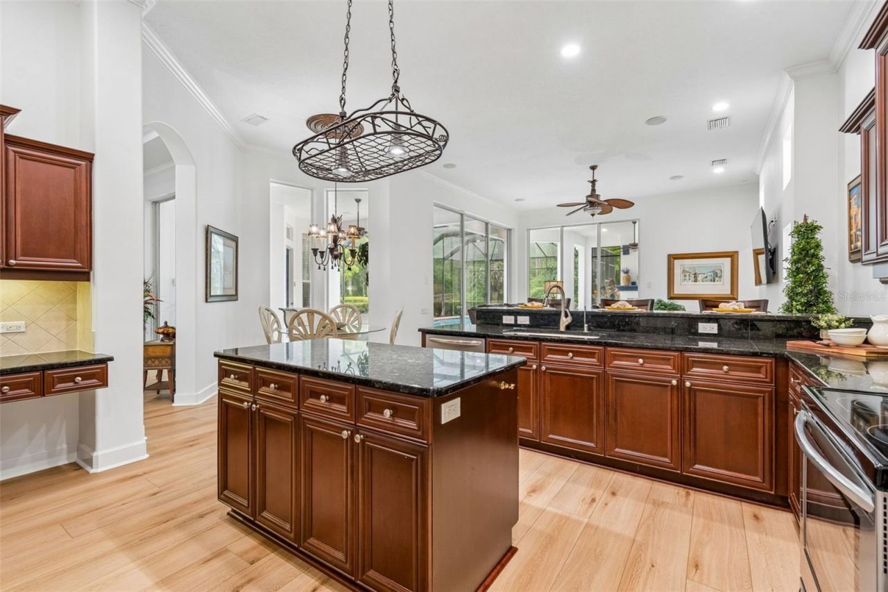 21105 Lake Vienna Drive, Land O Lakes, FL 34638 Photo