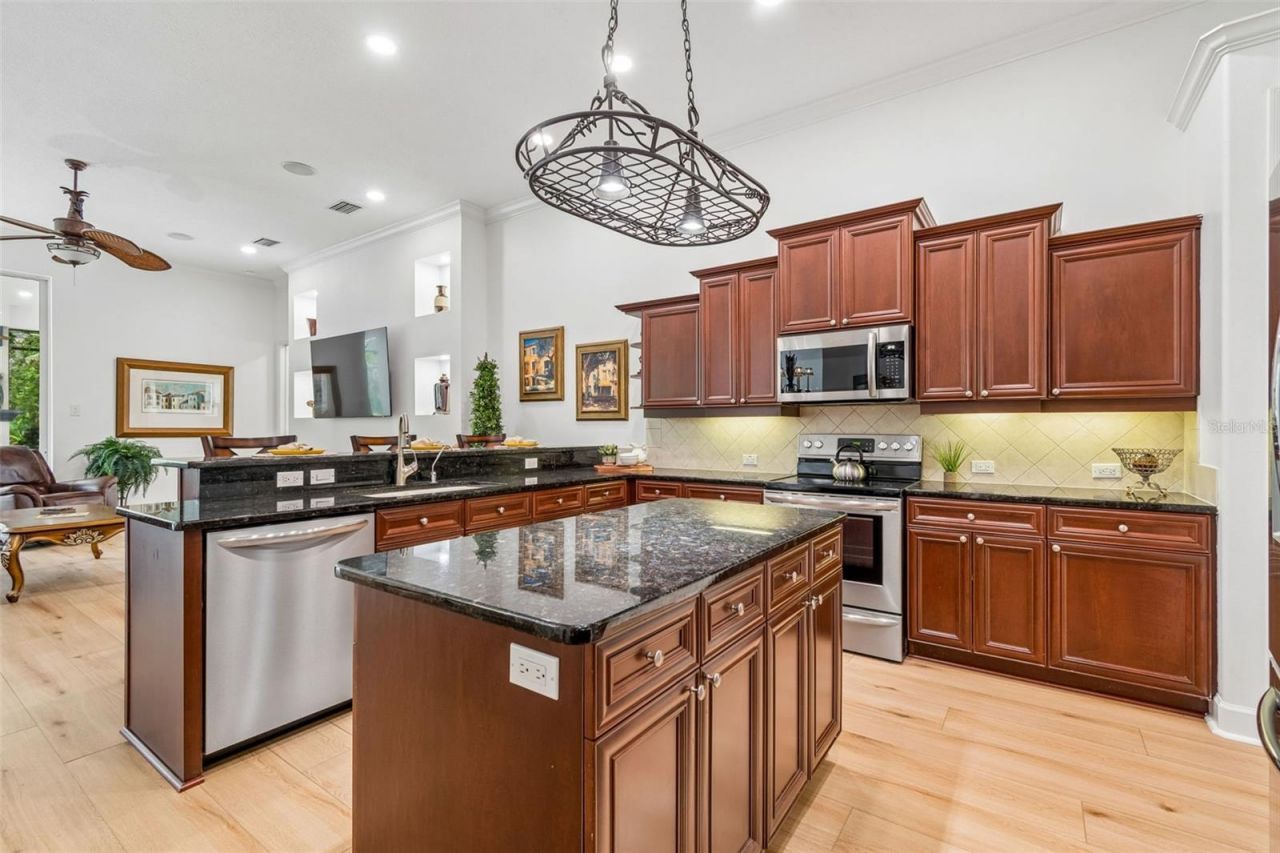 21105 Lake Vienna Drive, Land O Lakes, FL 34638 Photo