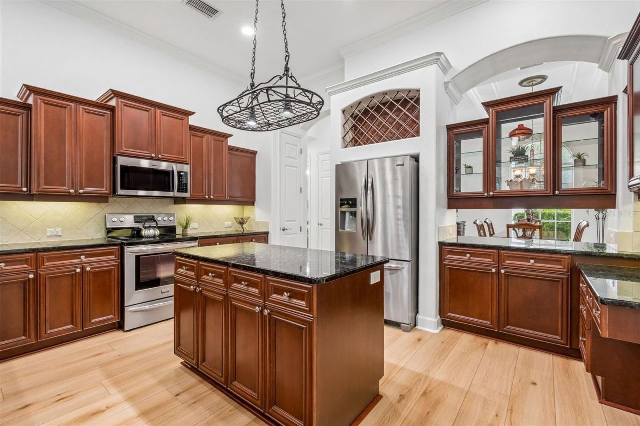 21105 Lake Vienna Drive, Land O Lakes, FL 34638 Photo