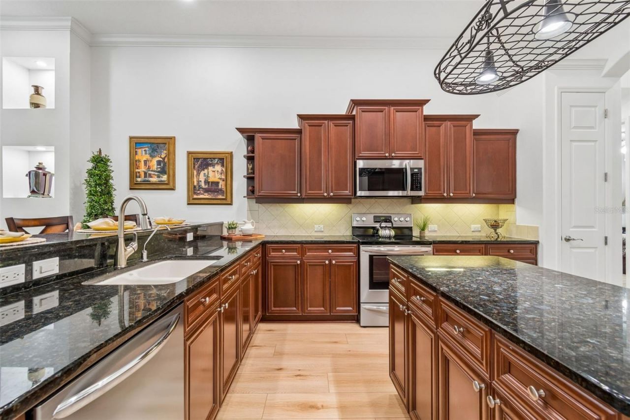 21105 Lake Vienna Drive, Land O Lakes, FL 34638 Photo
