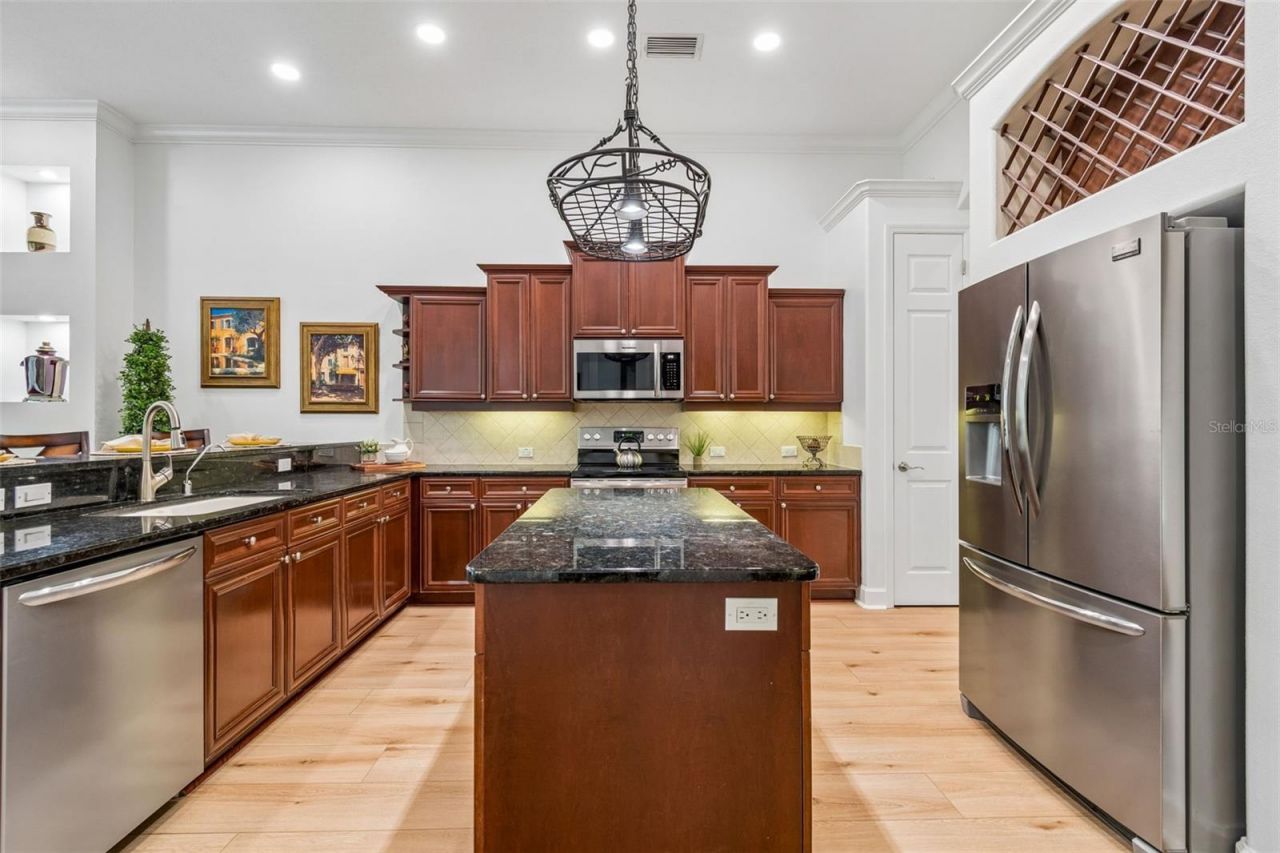 21105 Lake Vienna Drive, Land O Lakes, FL 34638 Photo