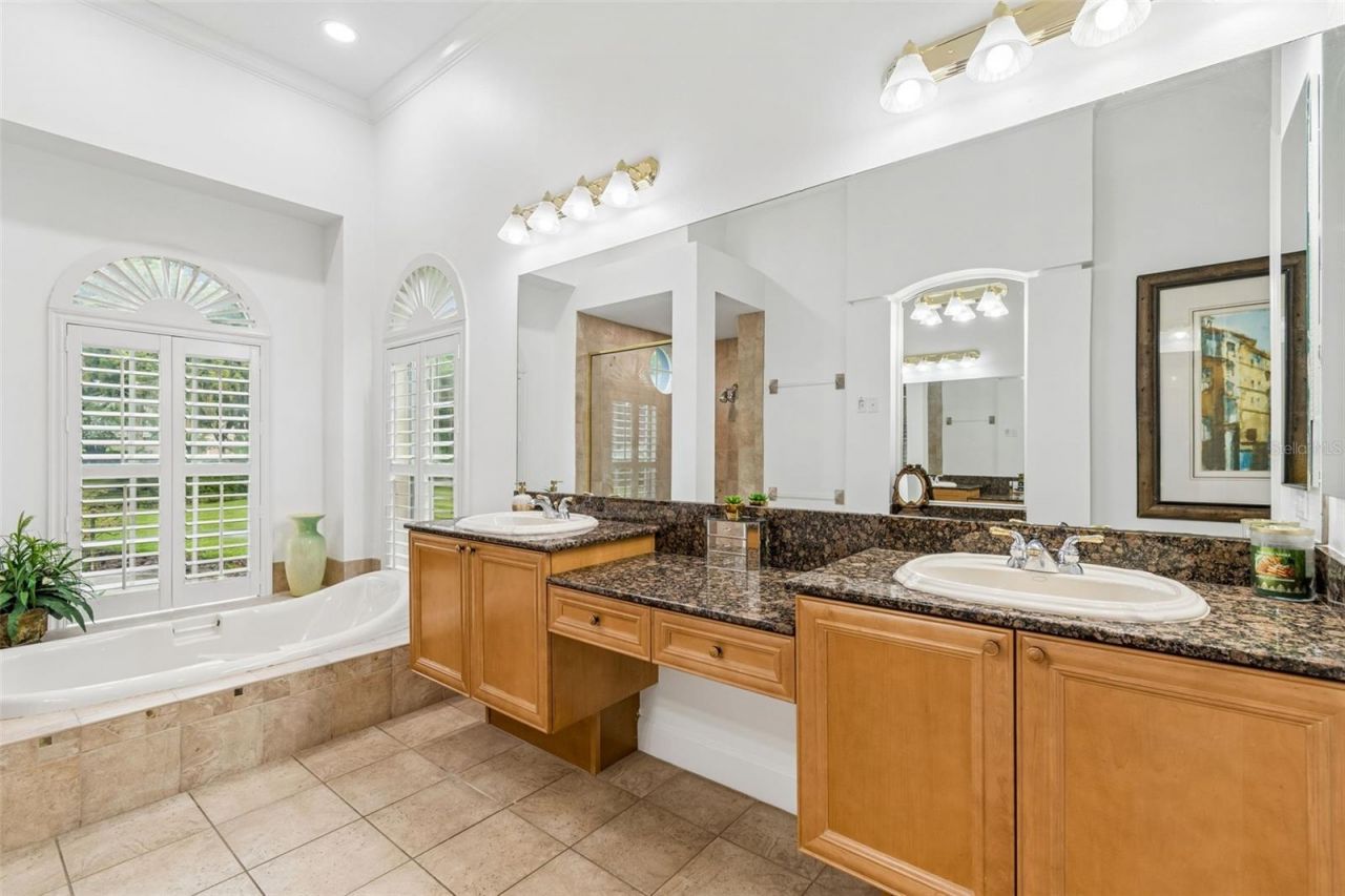 21105 Lake Vienna Drive, Land O Lakes, FL 34638 Photo