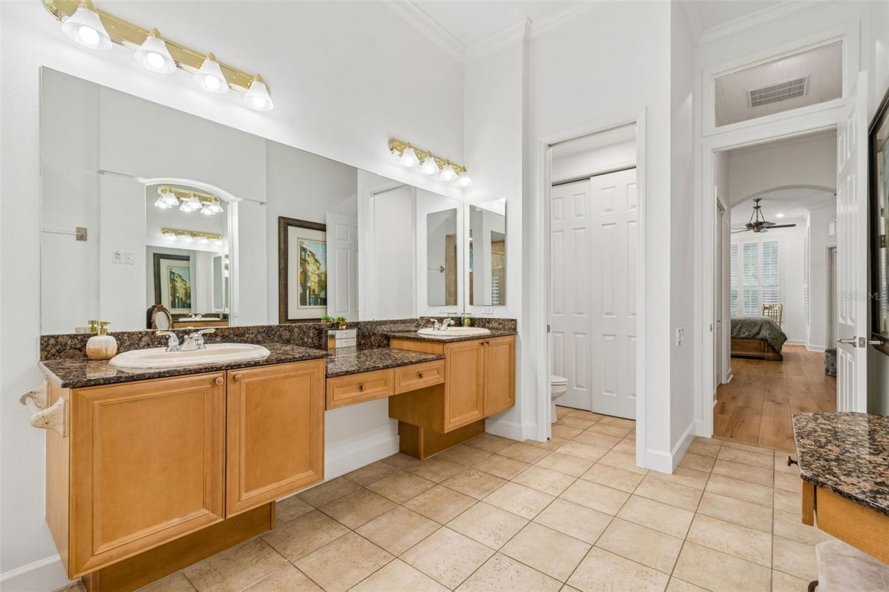 21105 Lake Vienna Drive, Land O Lakes, FL 34638 Photo