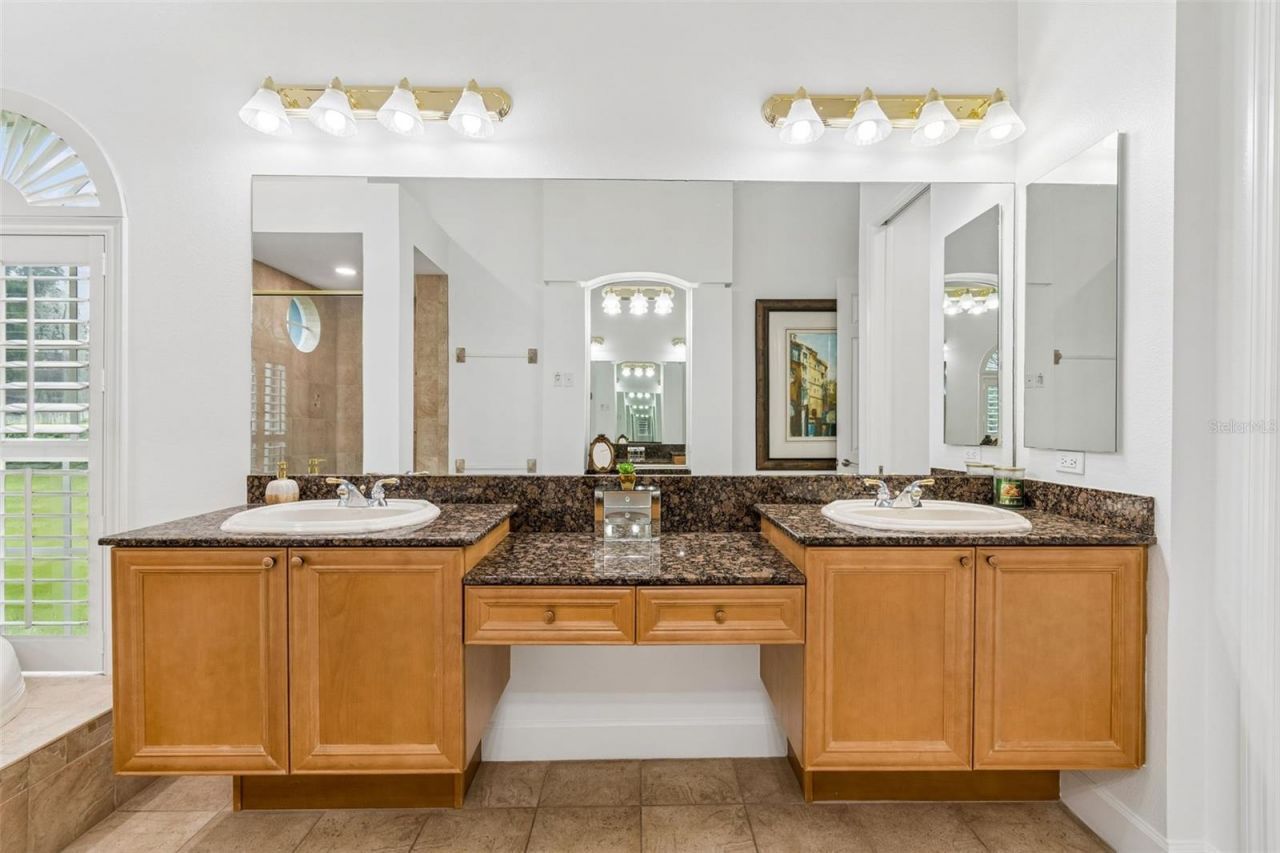 21105 Lake Vienna Drive, Land O Lakes, FL 34638 Photo