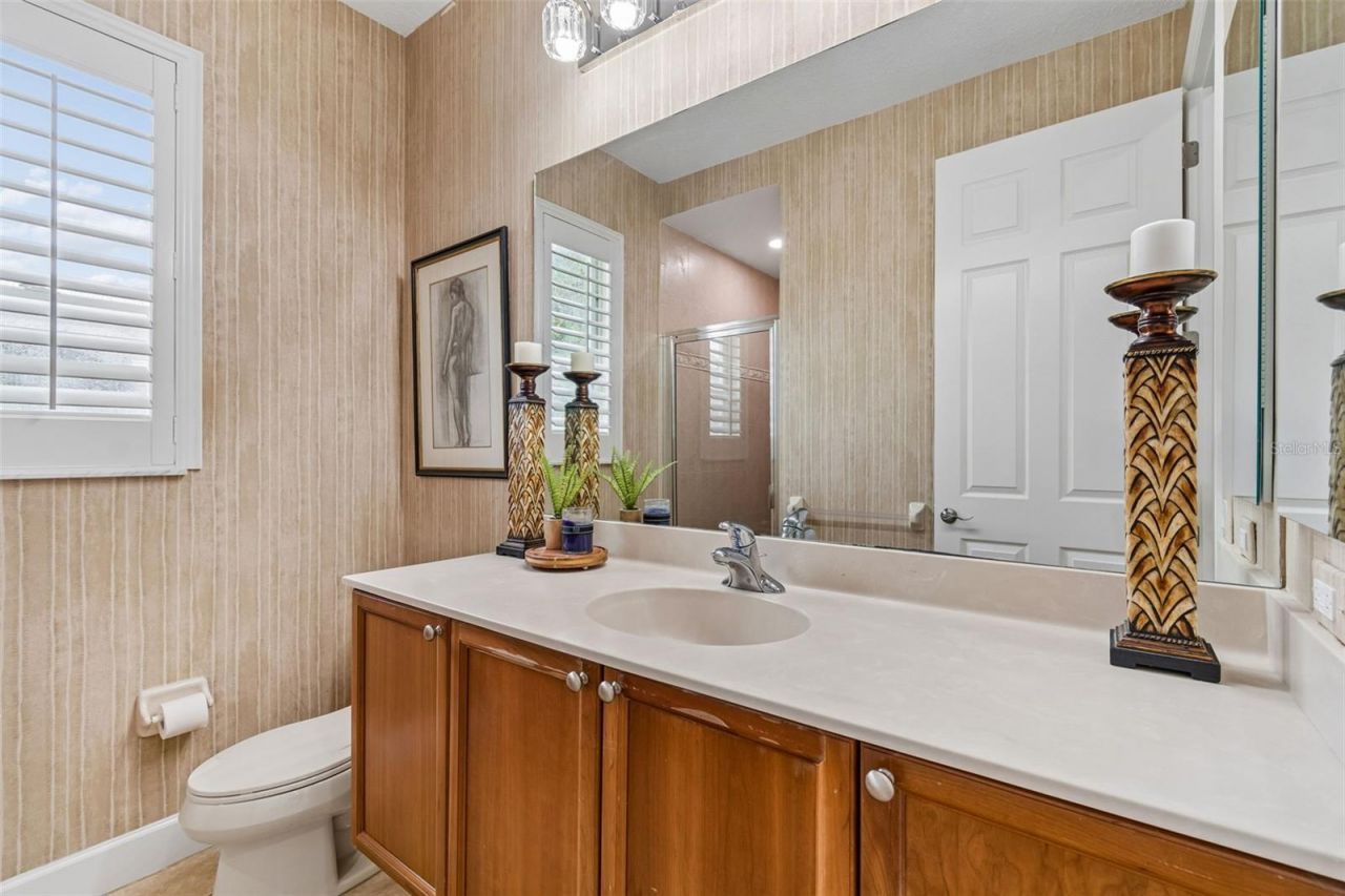 21105 Lake Vienna Drive, Land O Lakes, FL 34638 Photo