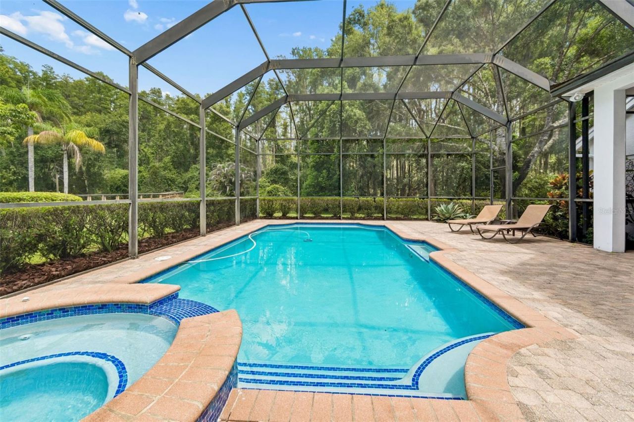 21105 Lake Vienna Drive, Land O Lakes, FL 34638 Photo