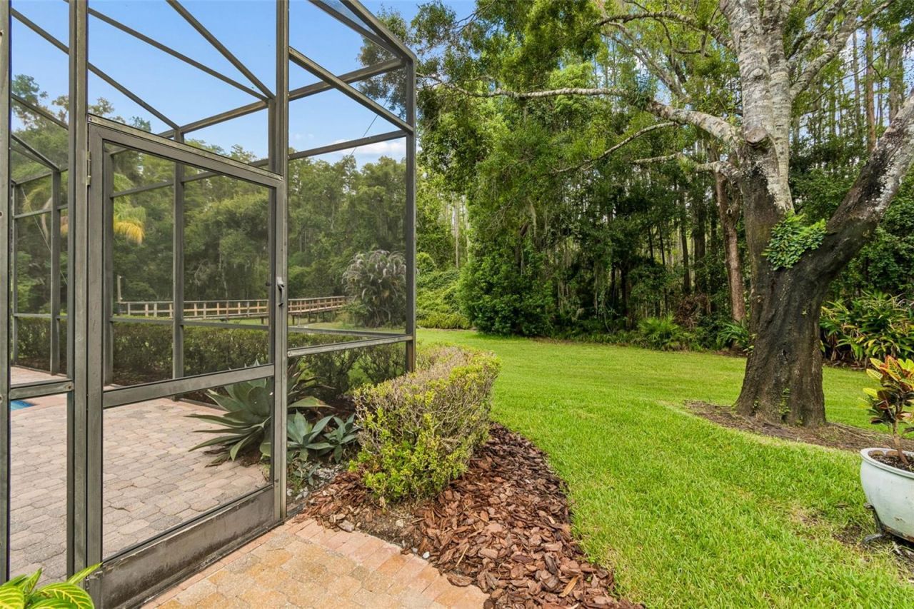 21105 Lake Vienna Drive, Land O Lakes, FL 34638 Photo