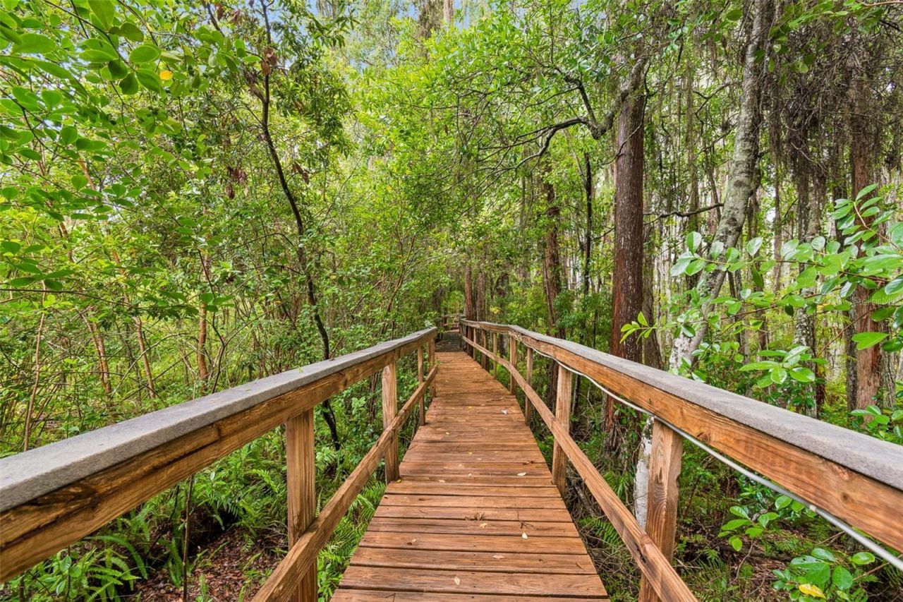 21105 Lake Vienna Drive, Land O Lakes, FL 34638 Photo