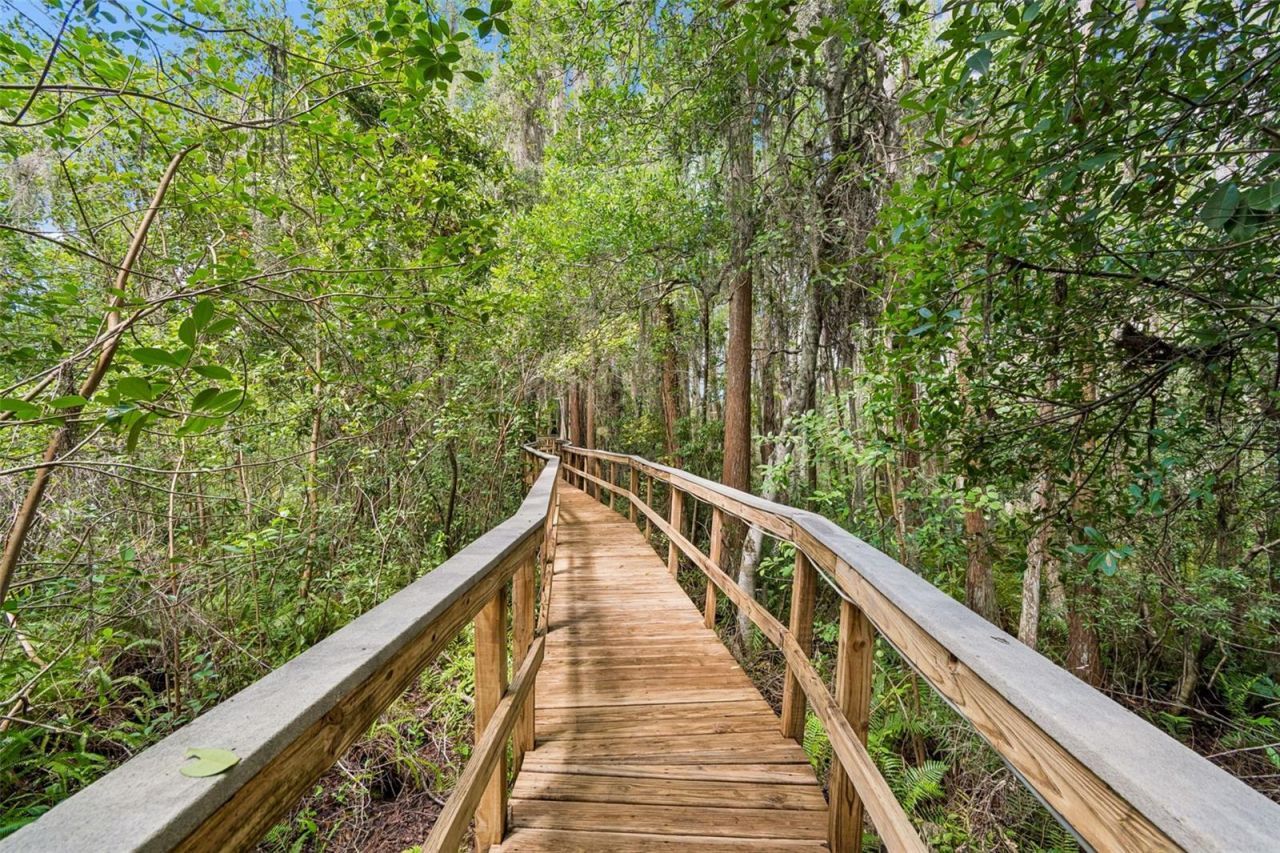 21105 Lake Vienna Drive, Land O Lakes, FL 34638 Photo