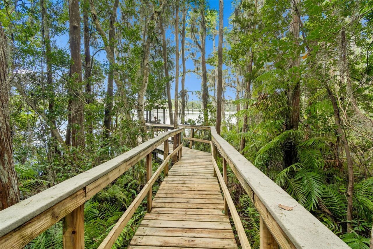 21105 Lake Vienna Drive, Land O Lakes, FL 34638 Photo