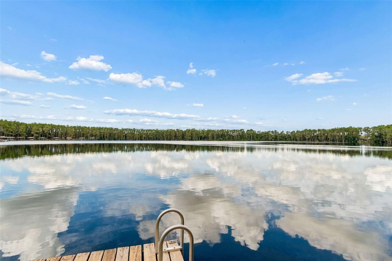 21105 Lake Vienna Drive, Land O Lakes, FL 34638 Photo