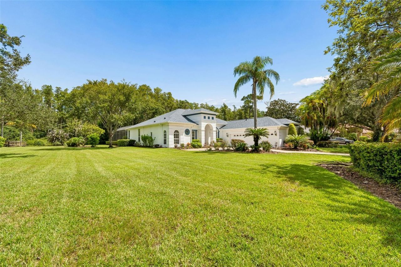 21105 Lake Vienna Drive, Land O Lakes, FL 34638 Photo